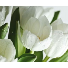 Diigital Tulpany X2 Decor 25 X 60